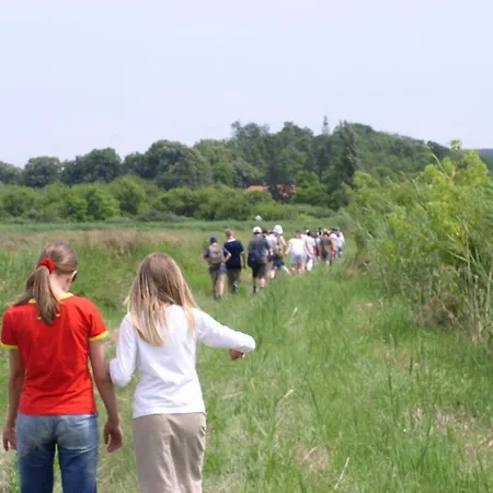 Rev Szallo Balaton Отель Сантод