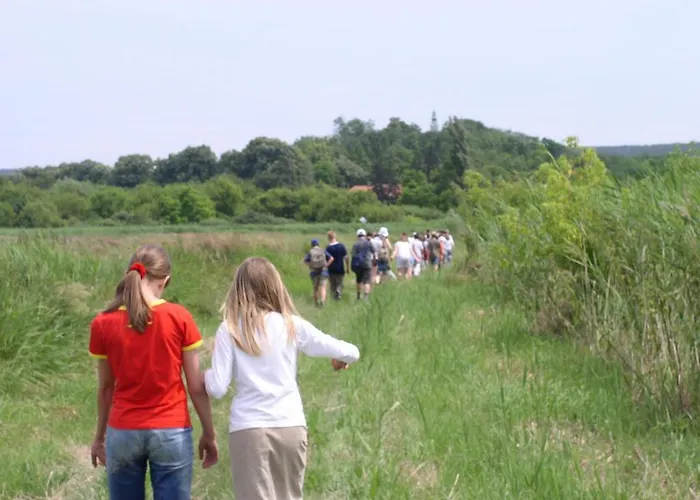 Rév Balaton Hotel Szántód